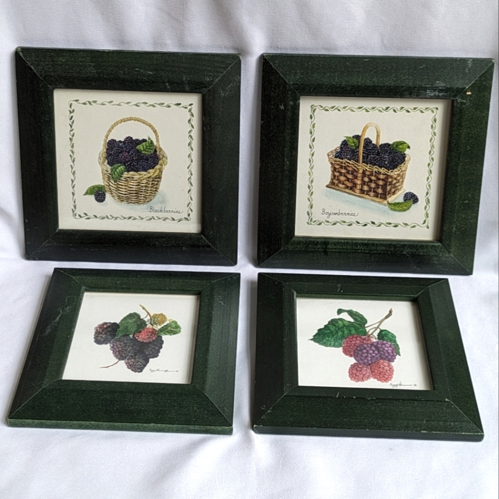 Peggy Abrams Berry prints set of 4